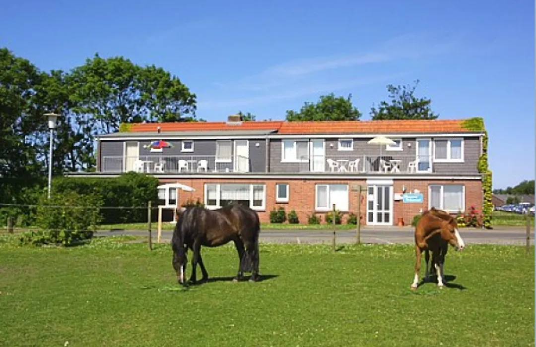 Pension Sielmöwe-1